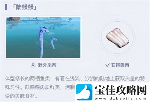 陆鳗鳗怎么采集陆鳗鳗获取方法详细介绍