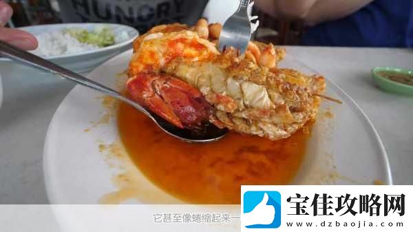 幻塔香脆烤鱼秘籍配方与烹饪技巧全解析