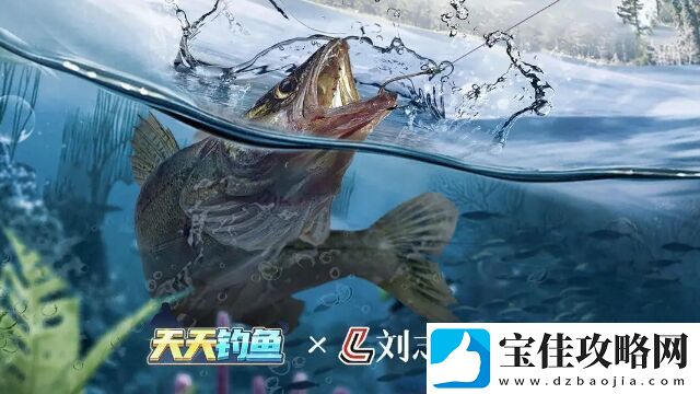 天天钓鱼全面体验真实的钓鱼乐趣！