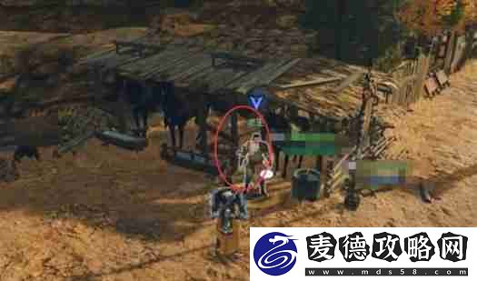 老王寻亲记任务攻略