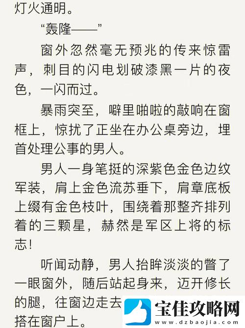 新职场精英揭秘：从“秘书-高干h”到领导力巅峰