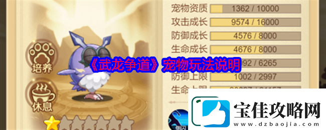 武龙争道宠物玩法说明