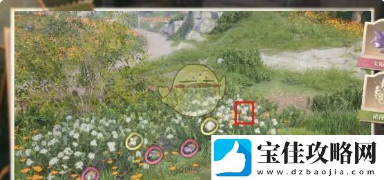 无限暖暖照片调查任务攻略大全