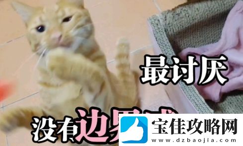 讨厌没有边界感的人是什么梗络用语-讨厌没有边界感的人梗意思及出处分享