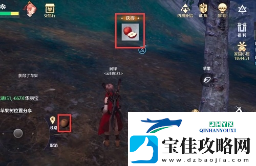 诺亚之心苹果树在哪