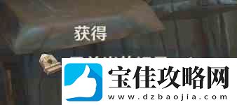 原神隐匿的佣兵任务完成流程