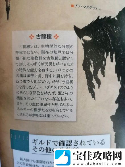 怪物猎人荒野古龙种大全介绍