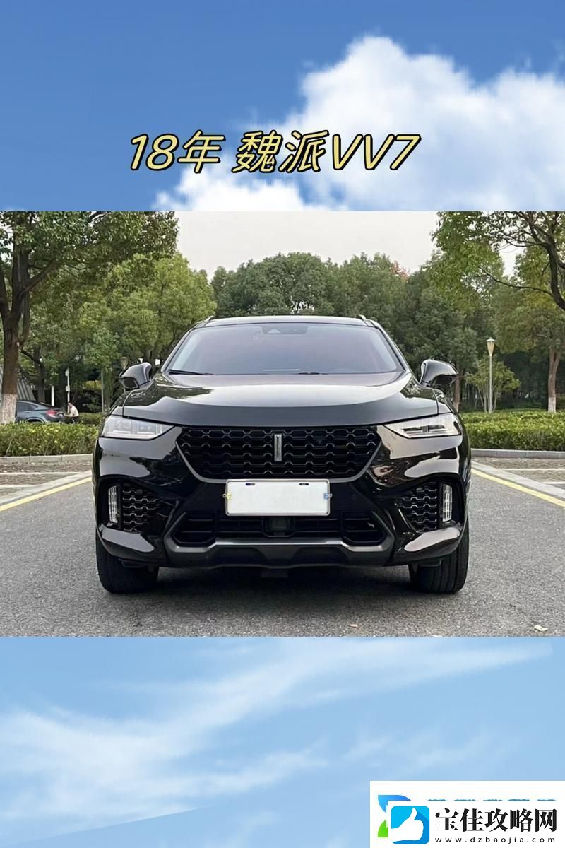国产毛卡SUV之翘楚-友：这款车真是太惊艳了！