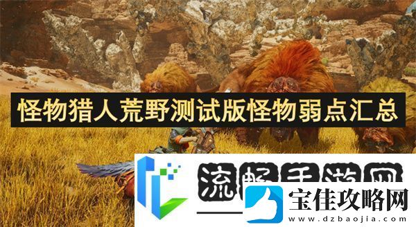 怪物猎人荒野测试版怪物弱点汇总