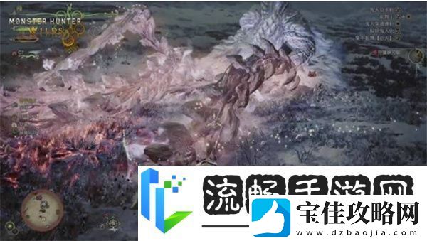 怪物猎人荒野测试版怪物弱点汇总