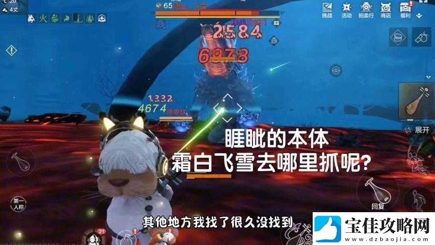 妄想山海雪熊如何高效捕捉-从核心机制到实战操作全解析！