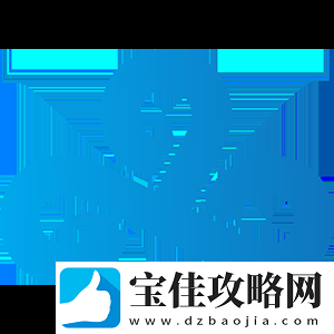 Swani访谈
