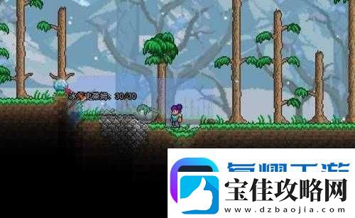 泰拉瑞亚珍珠获取大揭秘-黑白珍珠究竟该如何获得