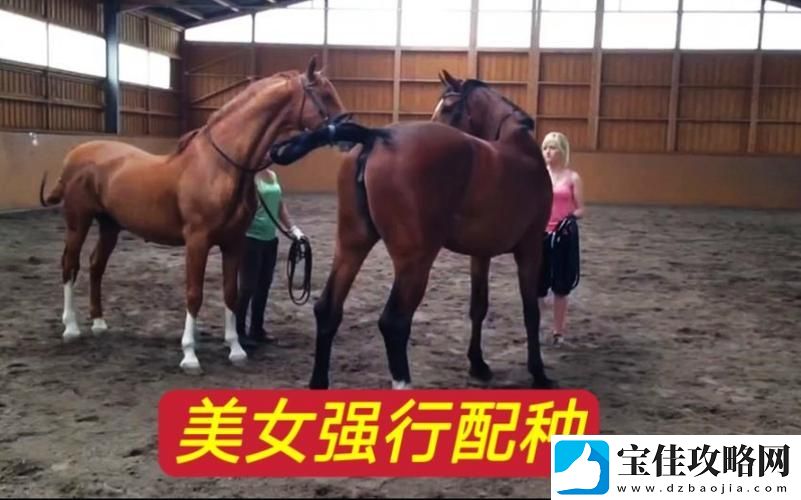 美国公马配女人流畅不卡顿-网友：这是对爱情的一种新解读！