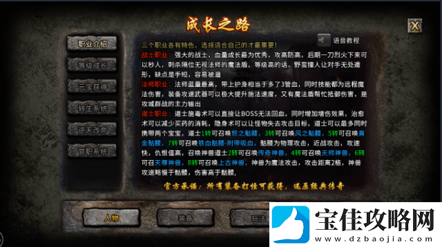 空中战魂：火凤凰单职业的创新玩法与策略优化-提升游戏体验的全新维度。