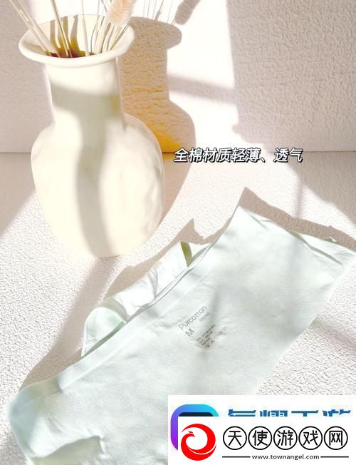 探索时尚与舒适的结合——蜜桃91精品㊙️入口内裤