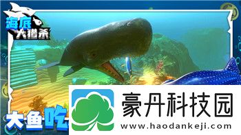 上古卷轴用什么武器最强-详细解析如何选择最适合的武器种类