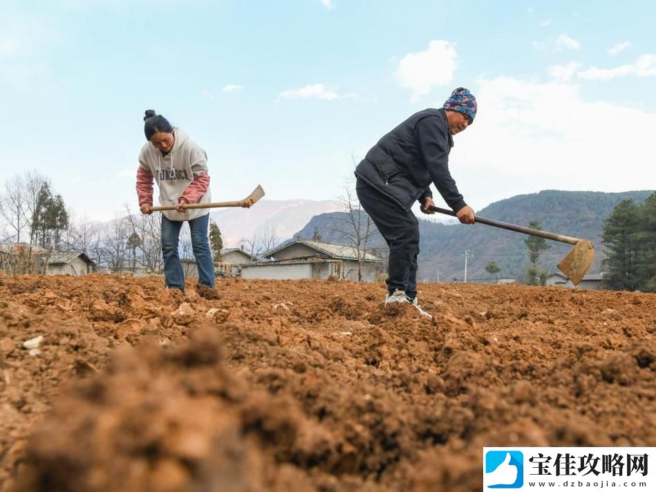 耕种姨妈肥沃的土地上线-网友：真是释放压力的良方！