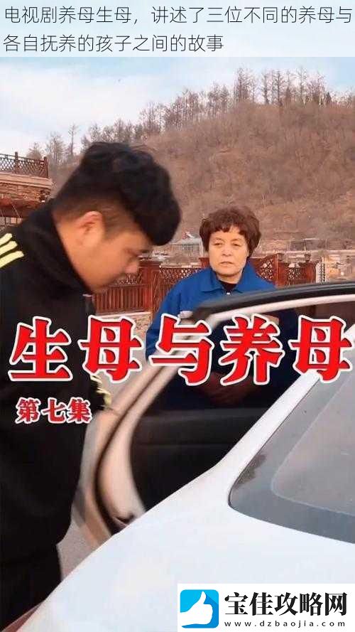 电视剧养母生母讲述了三位不同的养母与各自抚养的孩子之间的故事