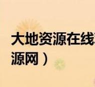 大地资源二在线观看-网友：一种全新的视野体验