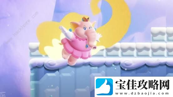 超级马力欧兄弟惊奇攻略大全