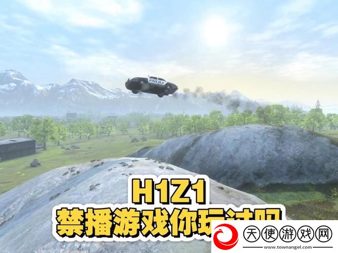 h1z1禁播-网友：这款游戏的未来何去何从
