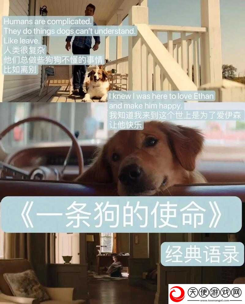 私人影片：关于其背后故事及意义的深入探讨