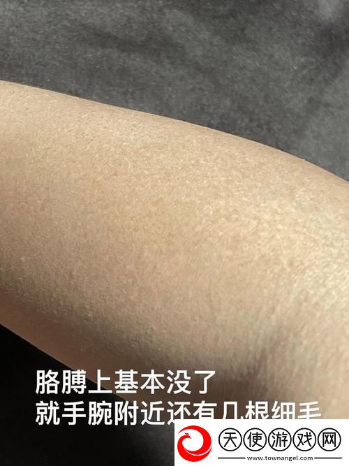 AAAA级毛与AAAA的区别：深入探讨其特性与应用