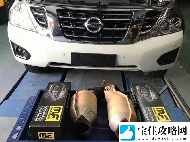 日产精品一线二线三线芒果：探索芒果的多样性与魅力
