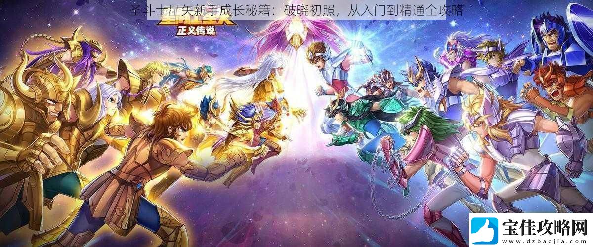 圣斗士星矢新手成长秘籍：破晓初照从入门到精通全攻略