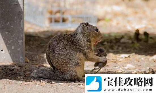 你敢信吗