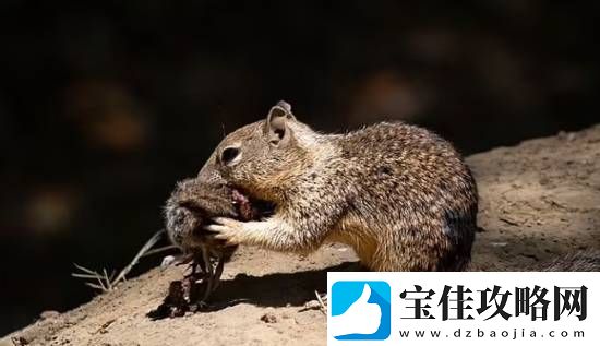 你敢信吗