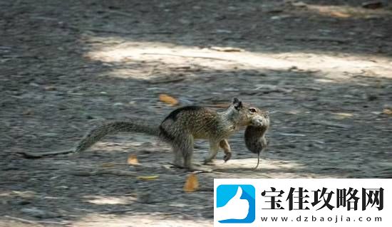 你敢信吗