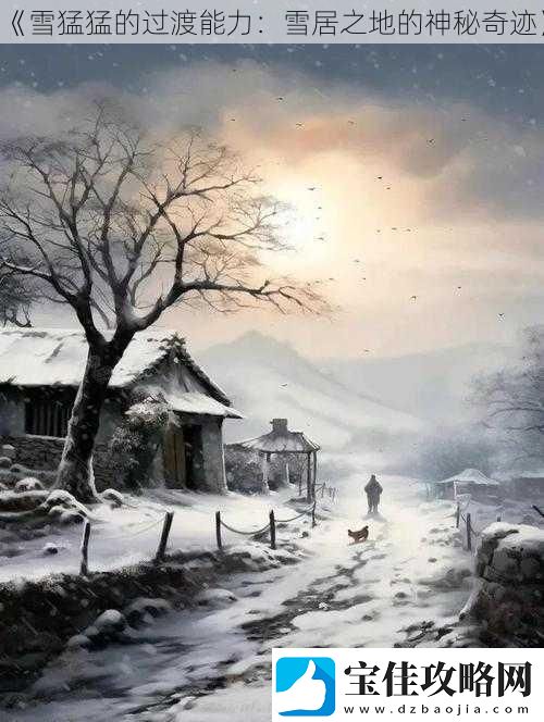 雪猛猛的过渡能力：雪居之地的神秘奇迹