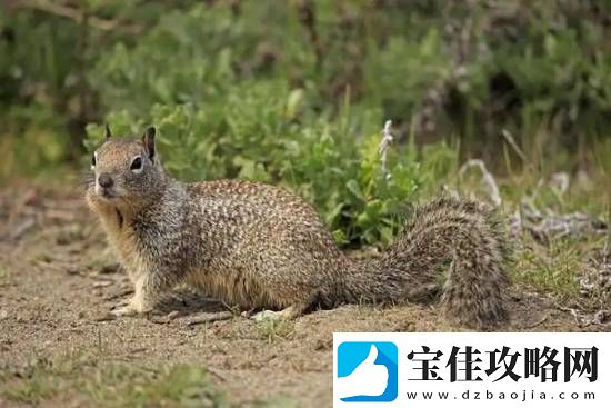 你敢信吗