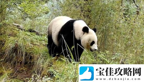 你敢信吗