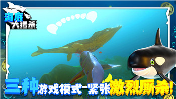 雨中冒险2装备图鉴金色怎么获得的-深入探讨获取金色装备的多种途径