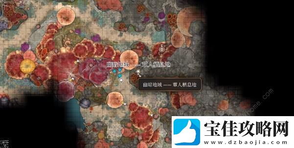 博德之门3极效奥术滋养灵药怎么得