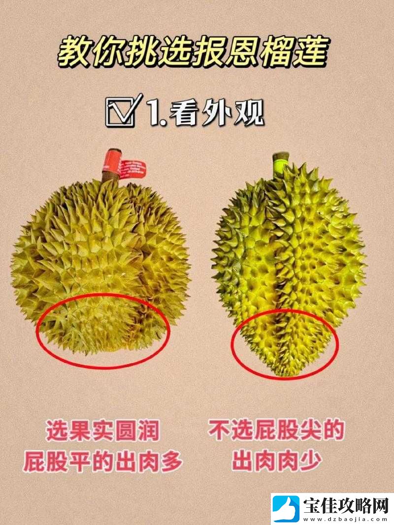 榴莲官方-ios-下载安装：轻松获取榴莲官方应用的详细指南